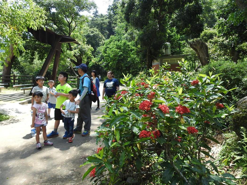 2017.7月8月潭桃米賞蝶季-大地,親一夏系列活動